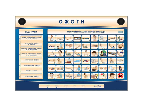 Комплект интерактивных стендов трехсекционный "Травмы, Кровотечения, Ожоги" Zarnitza